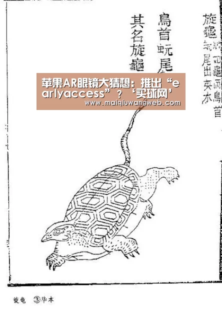 苹果AR眼镜大猜想:推出“earlyaccess”?‘买球网’