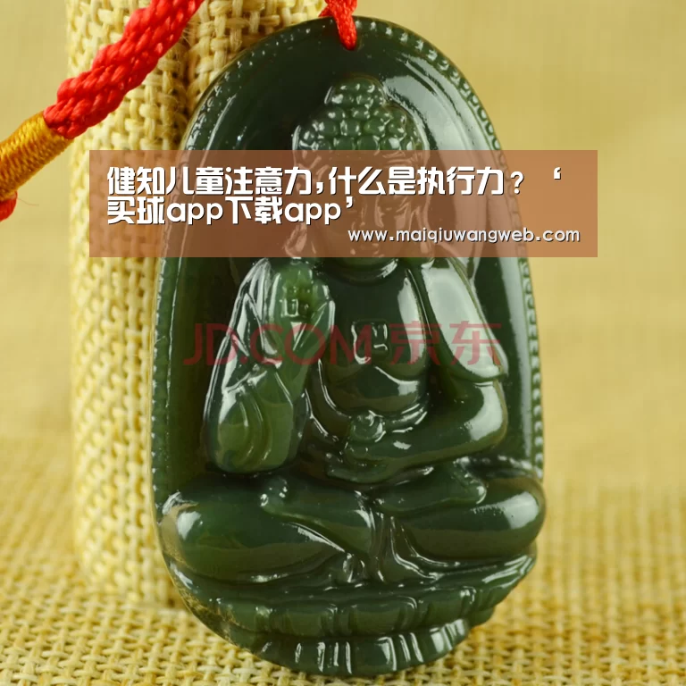 健知儿童注意力,什么是执行力?‘买球app下载app’