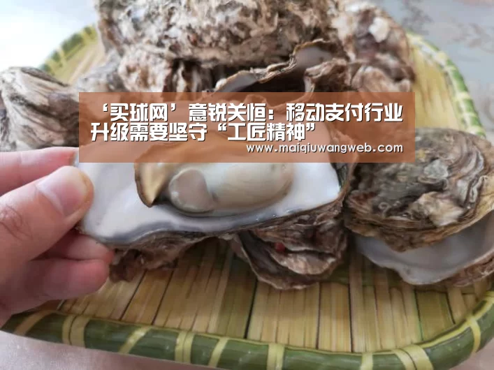 ‘买球网’意锐关恒：移动支付行业升级需要坚守“工匠精神”
